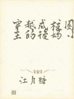 穿越成校园文男主的后妈 小说