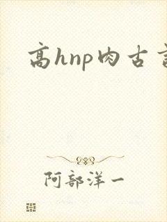 高hnp肉古言