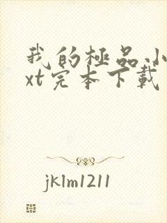 我的极品小姨txt完本下载