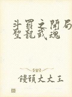 斗罗之开局光明圣龙武魂