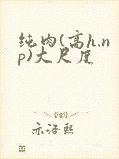纯肉(高h.np)大尺度