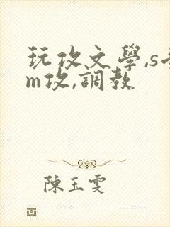 玩攻文学,s受m攻,调教