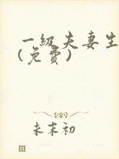 一级夫妻生活片(免费)