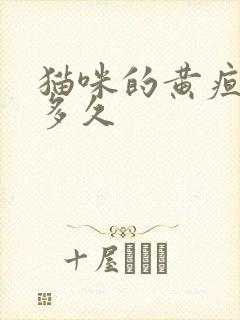 猫咪的黄疸能撑多久