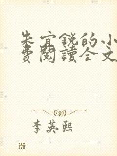 朱宜锐的小说免费阅读全文