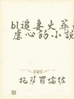 bl追妻火葬场虐心的小说