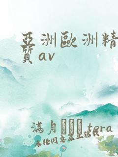 亚洲欧洲精品优质av