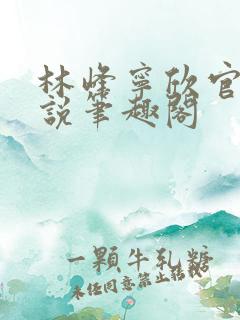 林峰宁欣官场小说笔趣阁