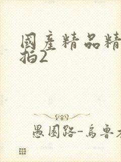 国产精品精品自拍2