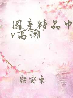 国产精品中出av高潮