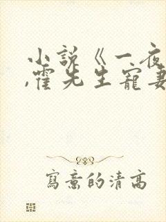 小说《一夜情深,霍先生宠妻无度》