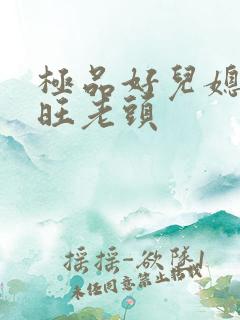 极品好儿媳秦雨旺老头