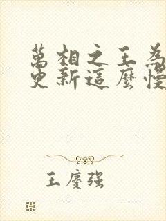 万相之王为什么更新这么慢