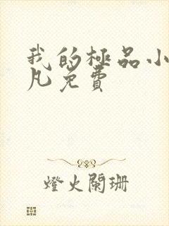 我的极品小姨叶凡免费