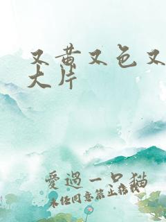 又黄又色又爽的大片