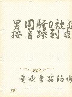 男同骚0被猛男按着躁到爽h