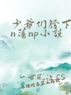 少爷们胯下yin荡np小说
