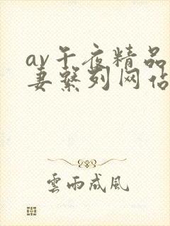 av午夜精品人妻系列网站