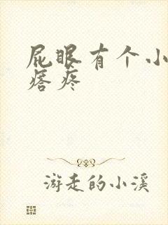 屁眼有个小肉疙瘩疼