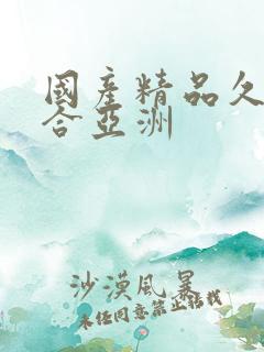 国产精品久久综合亚洲