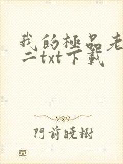 我的极品老婆小二txt下载