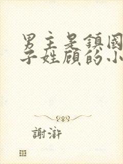 男主是镇国公世子姓顾的小说