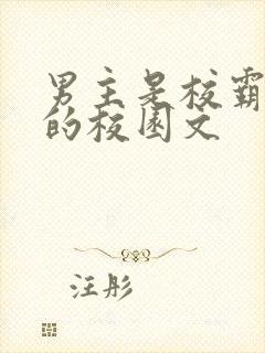 男主是校霸痞帅的校园文