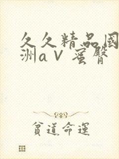 久久精品国产亚洲a∨蜜臀