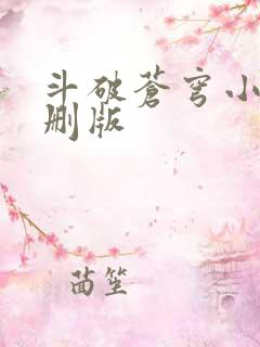 斗破苍穹小说未删版