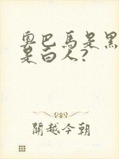 奥巴马是黑人还是白人?