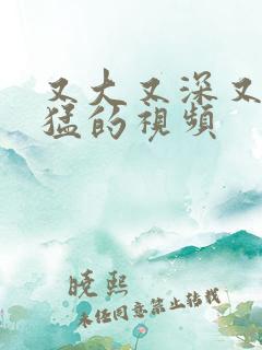 又大又深又爽又猛的视频