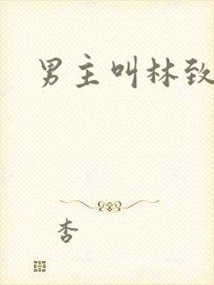 男主叫林致远