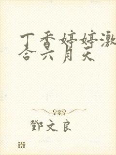 丁香婷婷激情综合六月天