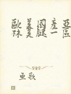 欧美国产亚洲丝袜美腿一区