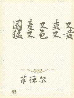 国产又爽又粗又猛又色又黄免费视频