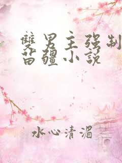 双男主强制生子苗疆小说