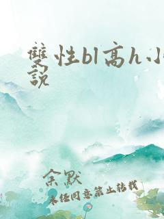 双性bl高h小说
