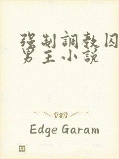 强制调教囚禁双男主小说