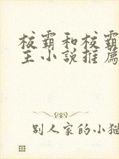 校霸和校霸双男主小说推荐