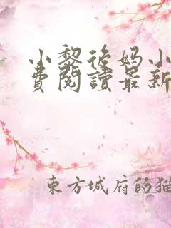 小黎后妈小说免费阅读最新章节更新