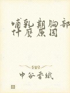 哺乳期胸部刺痛什么原因