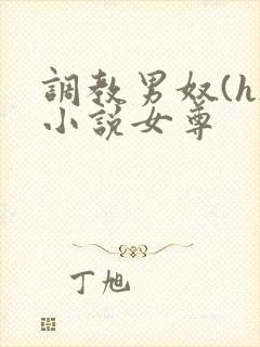 调教男奴(h)小说女尊