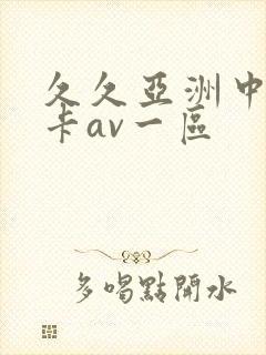 久久亚洲中文不卡av一区