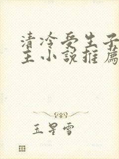 清冷受生子双男主小说推荐