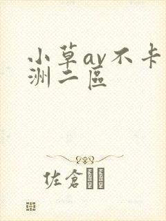 小草av不卡亚洲二区