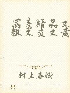 国产精品又猛又粗又爽又黄视频