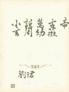 小说万古帝婿夜玄周幼薇