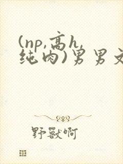 (np,高h,纯肉)男男文