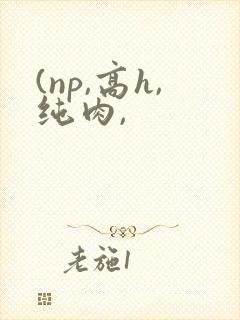 (np,高h,纯肉,