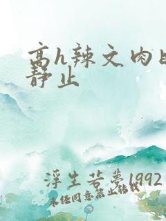 高h辣文肉时间静止